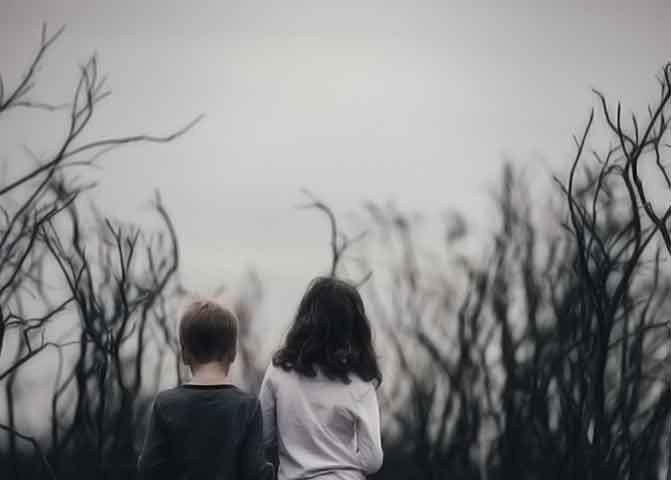 【安装包】官方的器测压文章